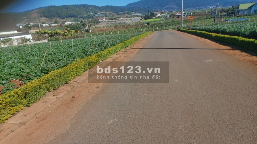 BÁN ĐẤT BỒNG LAI 260 M2 VIEW BIỆT THỰ NGHỈ DƯỠNG