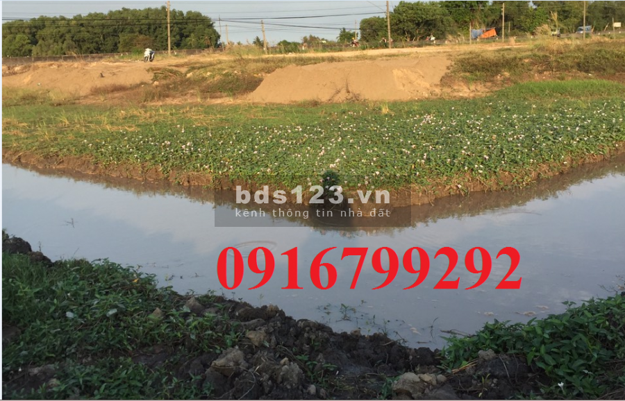 Mặt tiền QL22B rộng lớn 95m Xã Cẫm Giang 6075m2, thổ cư 1100 m2,
