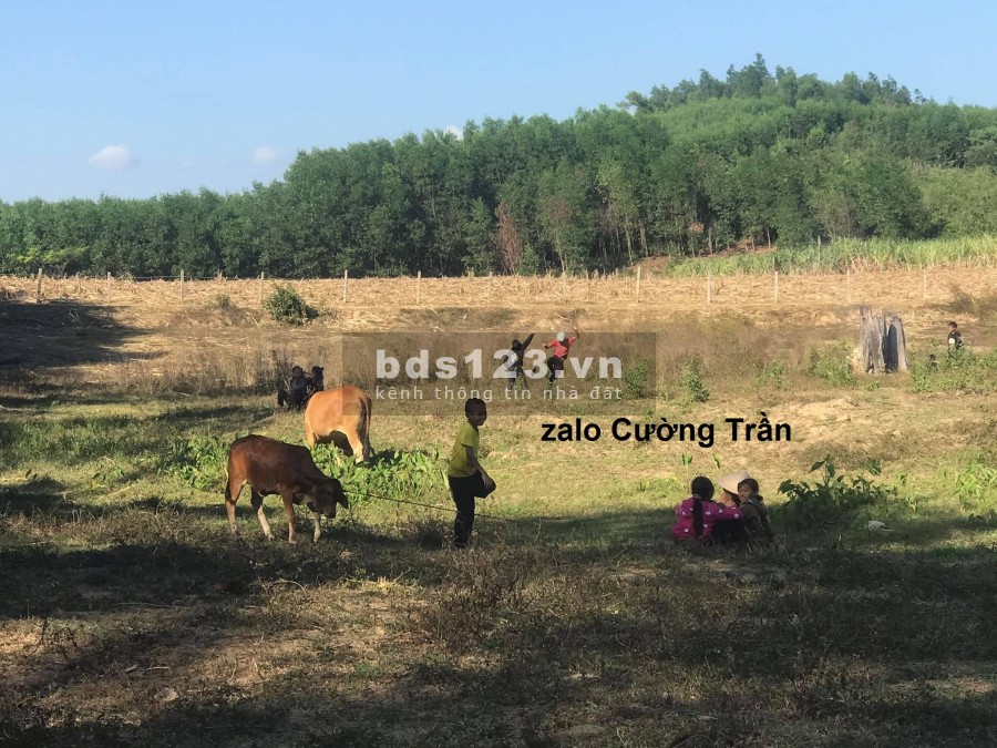Bán 1ha2 giáp Suối xã Khánh Phú giá rẻ view đẹp làm vườn LH 0788.558.552