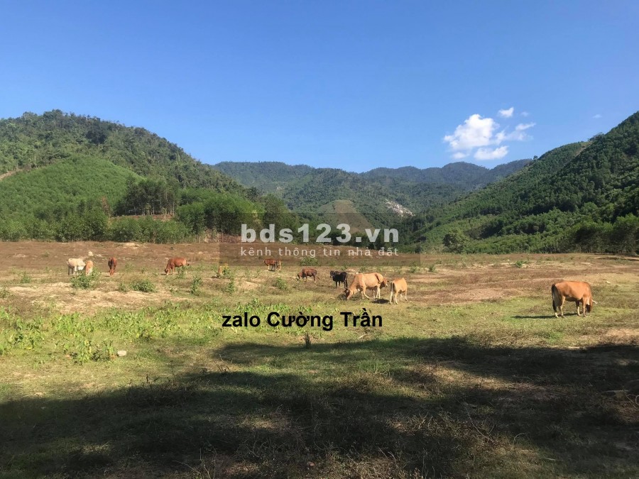 Bán 1ha2 giáp Suối xã Khánh Phú giá rẻ view đẹp làm vườn LH 0788.558.552