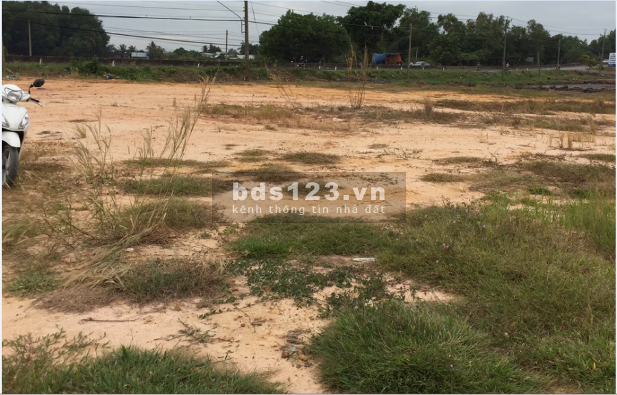 Mặt tiền QL22B rộng lớn 95m Xã Cẫm Giang 6075m2, thổ cư 1100 m2,