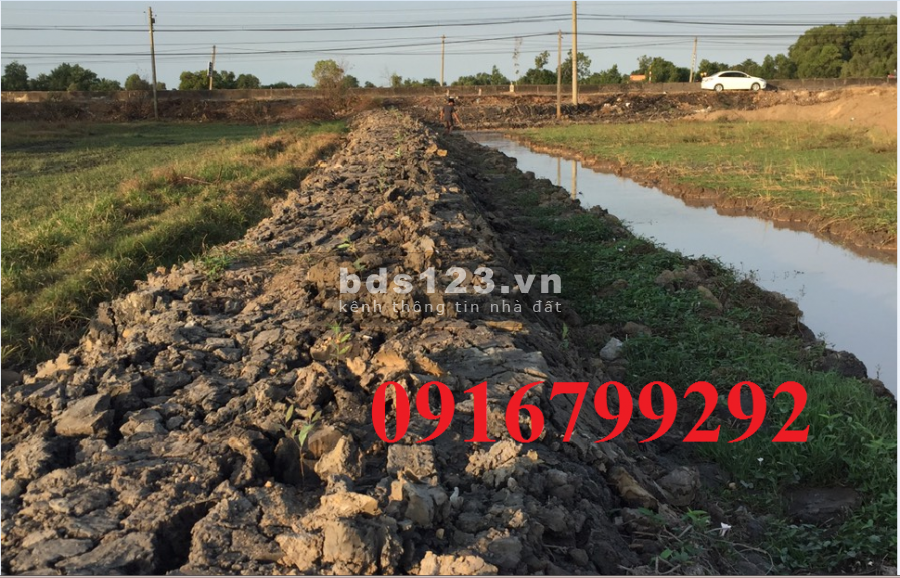 Mặt tiền QL22B rộng lớn 95m Xã Cẫm Giang 6075m2, thổ cư 1100 m2,