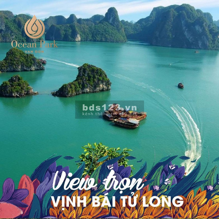 Bán Đất nền khu đô thị Ocean Park vân đồn giá chỉ từ 29tr/m2 Cái Rồng Quảng Ninh