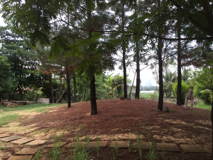 SIÊU PHẨM VILLA 4000M2 QUẬN 2 GIÁ 57TR/M2 CÒN TL CHƯA QUA ĐẦU TƯ MUA TỪ 1995. LH: 0948522889