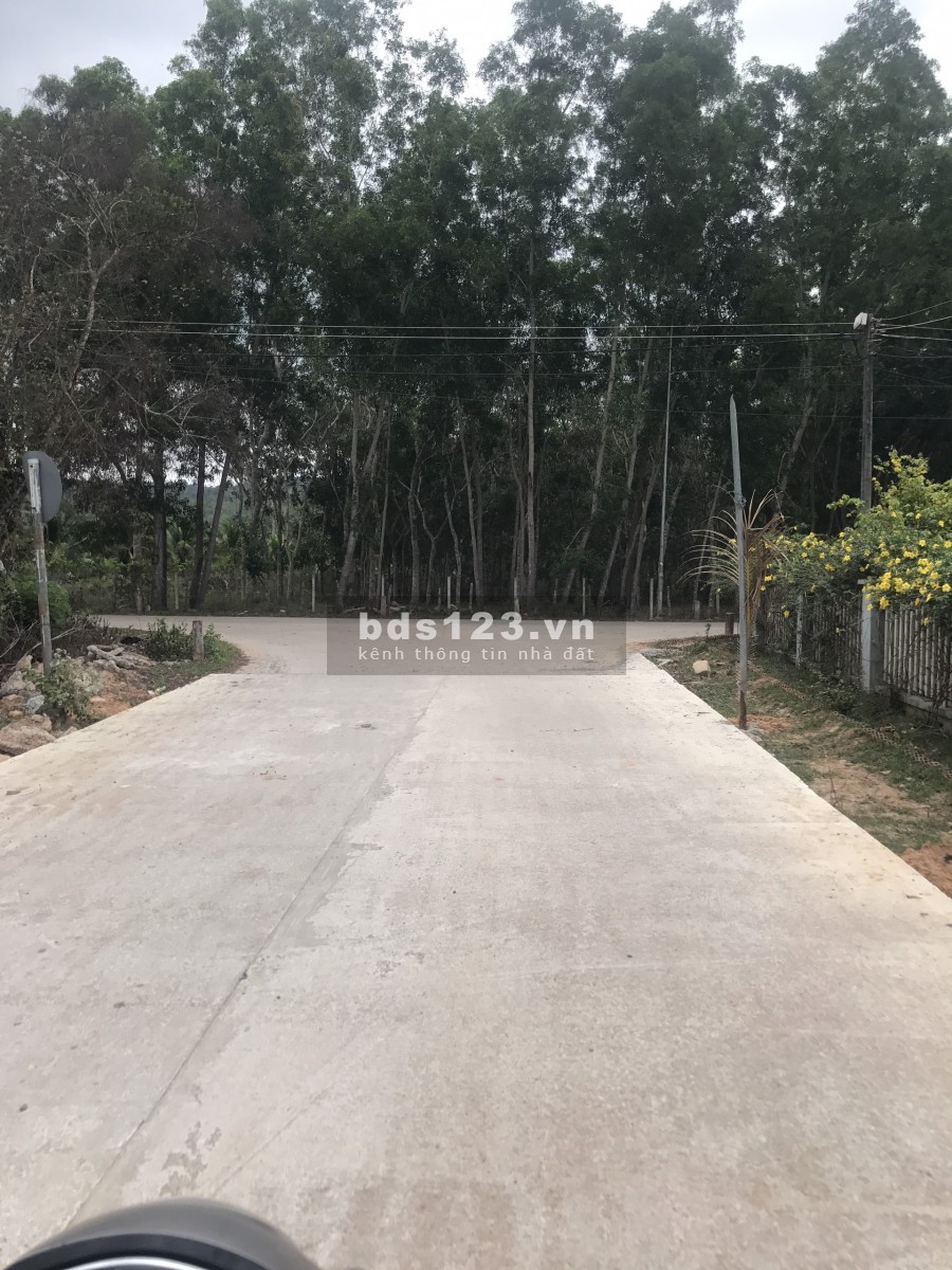 Mua một Lời một. Gía rẻ hấp dẫn. sổ hiển thị đường
