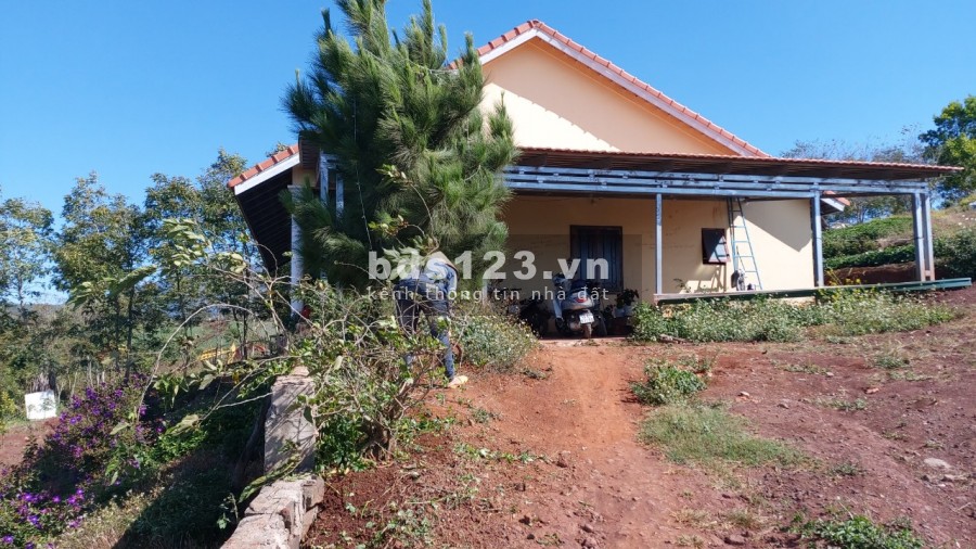 ĐẤT VIEW ĐẸP ĐỊA THẾ HIẾM NHẤT KHU VỰC ĐỨC TRỌNG