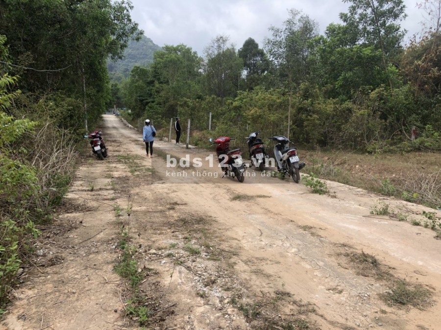 Bán đất nền siêu đẹp. siêu rẻ nhanh tay không lại không còn cơ hội