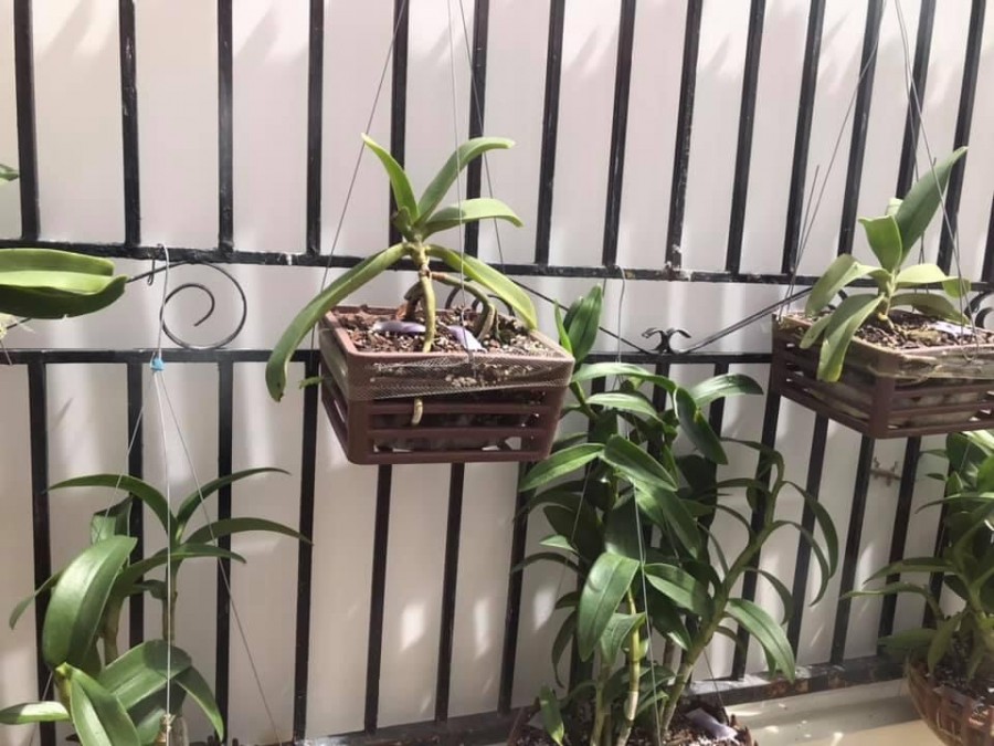 BÁN NHÀ 85m2 MẶT TIỀN ĐƯỜNG NGUYỄN BÌNH HUYỆN NHÀ BÈ GIÁ DƯỚI 3,3 TỶ