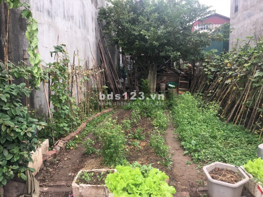 Bán siêu phẩm hiếm có, DT 50m2, mặt đường xóm 1 Đông Dư, ô tô tránh.