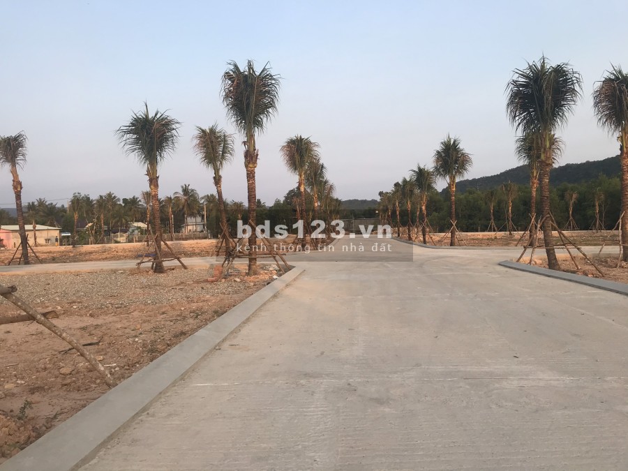CƠN SỐT ĐẤT TRỞ LẠI CÙNG VỚI SIÊU PHẨM MT ĐƯỜNG TUYẾN TRÁNH