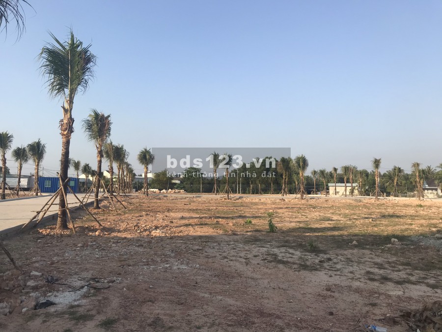 CƠN SỐT ĐẤT TRỞ LẠI CÙNG VỚI SIÊU PHẨM MT ĐƯỜNG TUYẾN TRÁNH