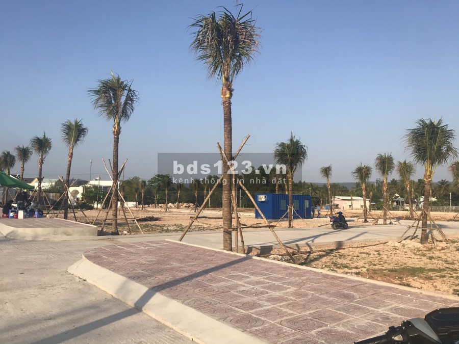 NHẤC MÁY GỌI NGAY, NHẬN NGAY ĐẤT ĐẸP TUYẾN TRÁNH SHR từng nền