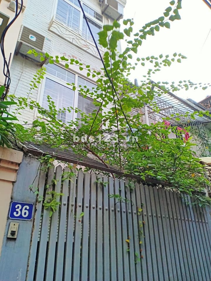Bán gấp nhà Nguyễn Chí Thanh, thông Nguyễn Công Hoan, DT 101m2, xây chung cư mini đỉnh