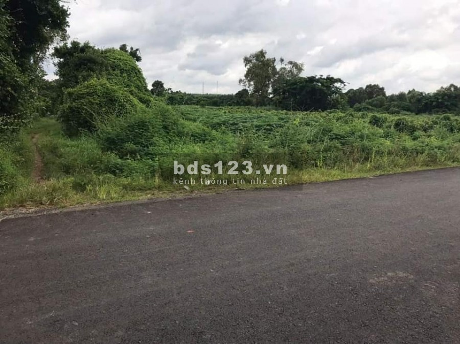 Cần Bán Lô Đất Long Phước Uy Tín Số 1 Bà Rịa Vũng Tàu