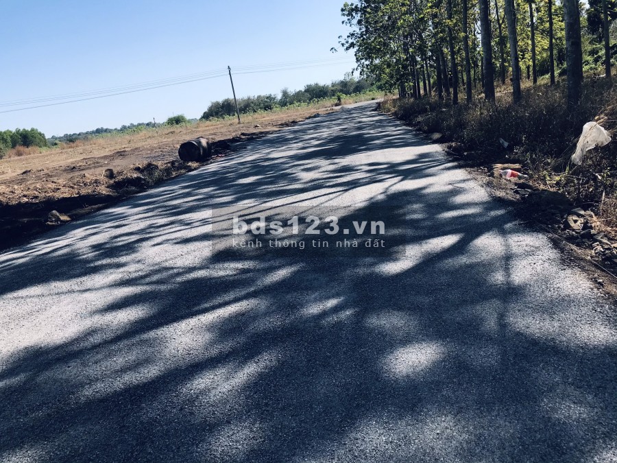 Cần bán lô đất 1106m2 có sẵn 100m2 thổ cư tại Bàu Cạn, cách sân bay Long Thành 1km
