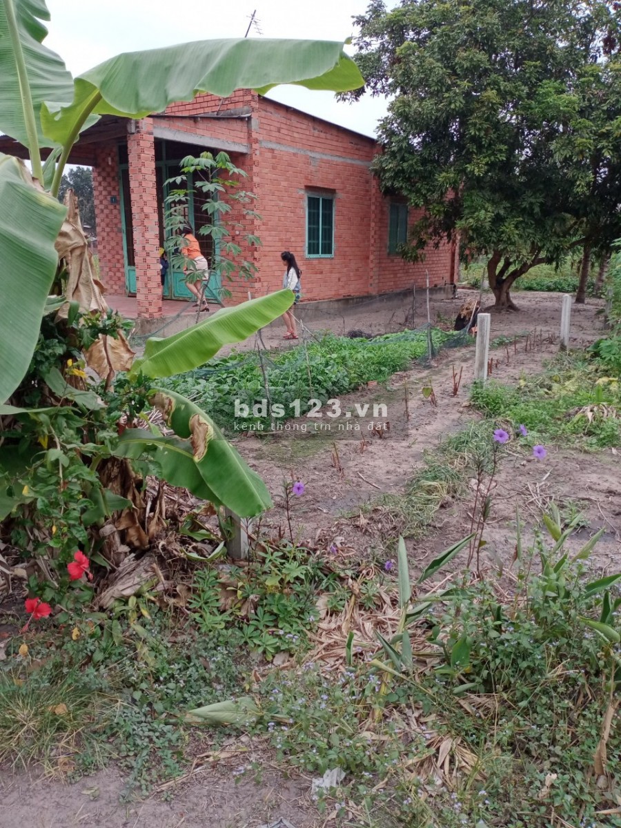Đất đầu tư cho người thu nhập thấp