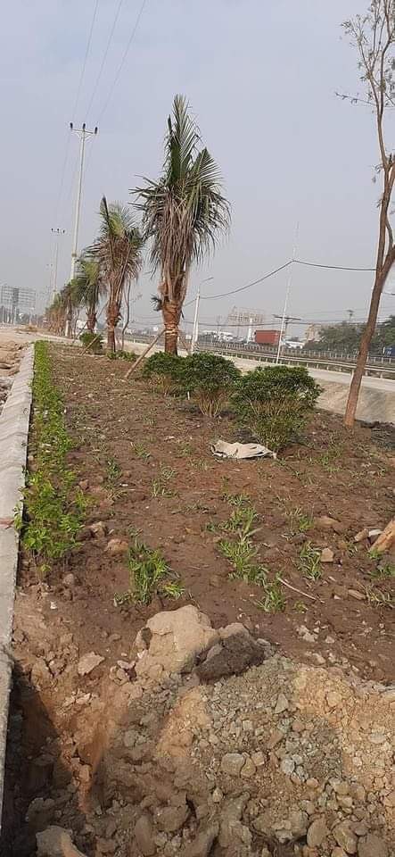 Bán đất dự án Chợ Giống Kim Thành, giá đầu tư nước 1 cho khách hàng, nhanh tay lấy giá tốt nhất