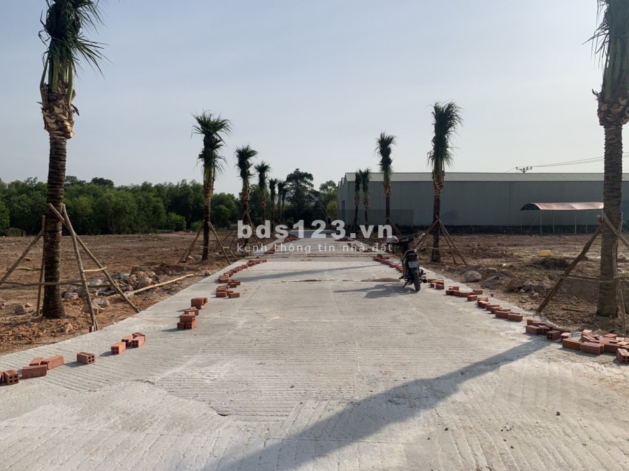 KHÔNG DUY NHẤT NHƯNG RẤT ĐẶC BIỆT CÙNG SIÊU PHẨM MT TUYẾN TRÁNH PHÚ QUỐC