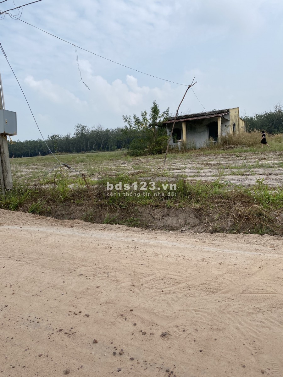 Đất Cách đường DT795 1km, cách chợ 2km