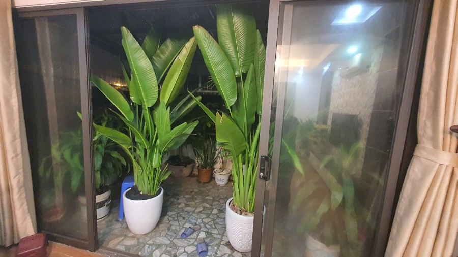 Bán nhanh siêu phẩm Hoàn Kiếm lô góc mặt phố 7 tầng thang máy KD 80m2 giá 13tỷ5