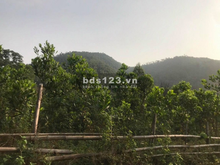 BÁN ĐẤT DỰ ÁN SUDICO - SIÊU PHẨM NGHỈ DƯỠNG 5000M TẠI TIẾN XUÂN THẠCH THẤT HÀ NỘI