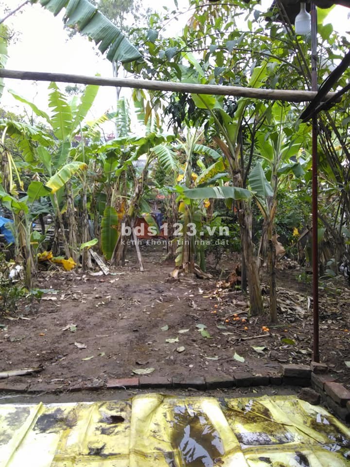 Bán gấp đất vườn xen kẹt, 320m2, chính chủ, Thanh Trì