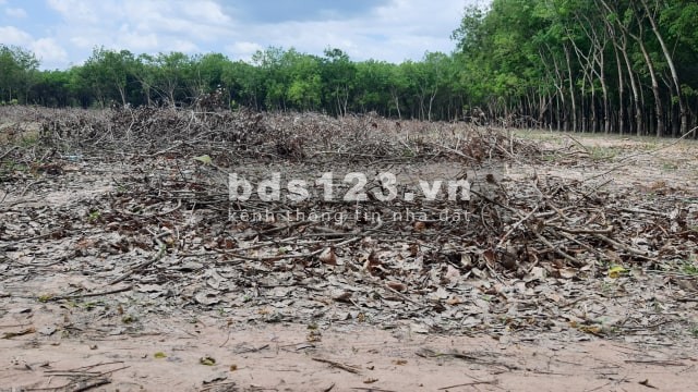Bán đất giá siêu rẻ Bình Dương
