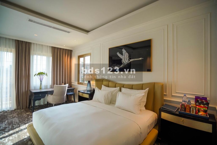 Shophouse đẳng cấp tại tuyến phố đêm thương mại bậc nhất miền Trung