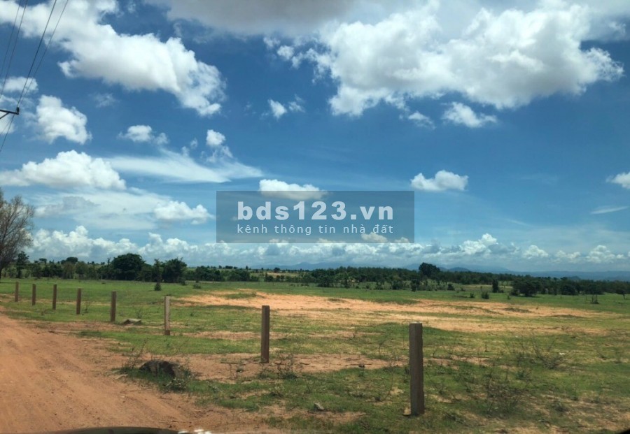 BÁN 2000M2 - ĐÚNG GIÁ 570 TRIỆU. SỔ HỒNG RIÊNG