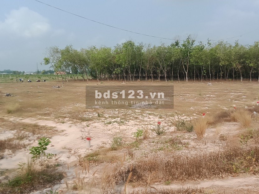 Bán đất Ninh Thạnh 40tr/ m ngang, mặt tiền đường 15m, ô tô quay đầu