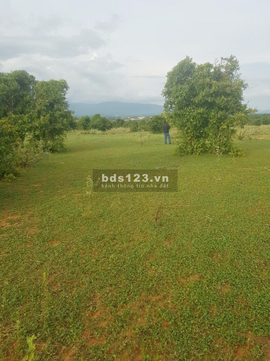 Bán 12,084m2 đất nông nghiệp hồng thái, vuông đẹp gần đường liên huyện chỉ 90k/m2 Lh 0938677909 Hiền