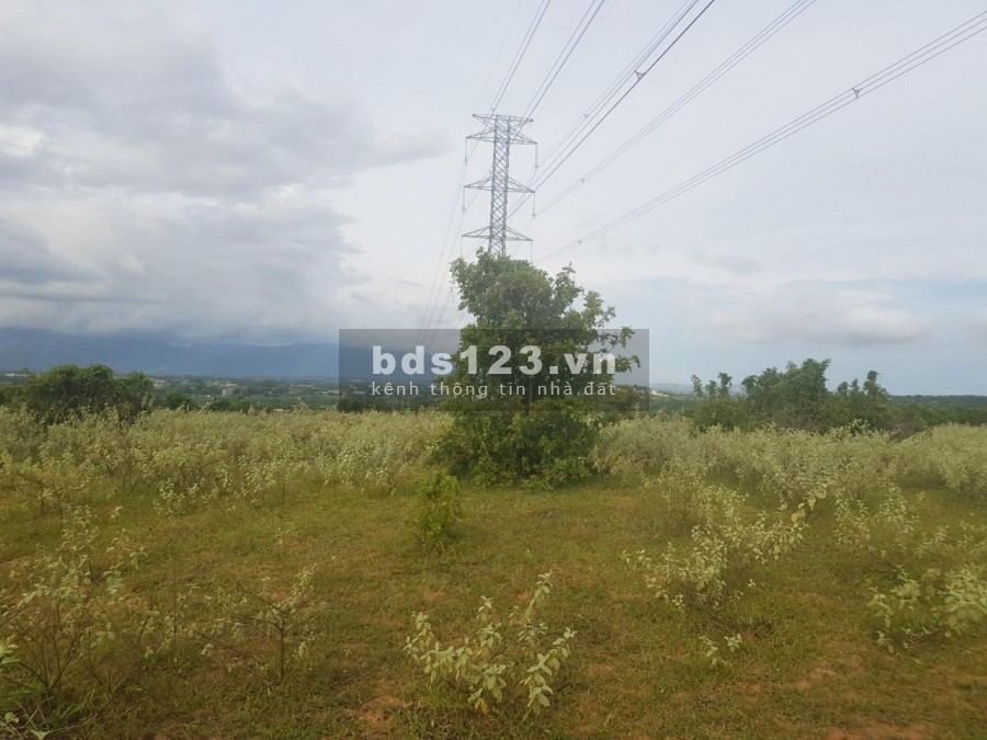 Bán 12,084m2 đất nông nghiệp hồng thái, vuông đẹp gần đường liên huyện chỉ 90k/m2 Lh 0938677909 Hiền