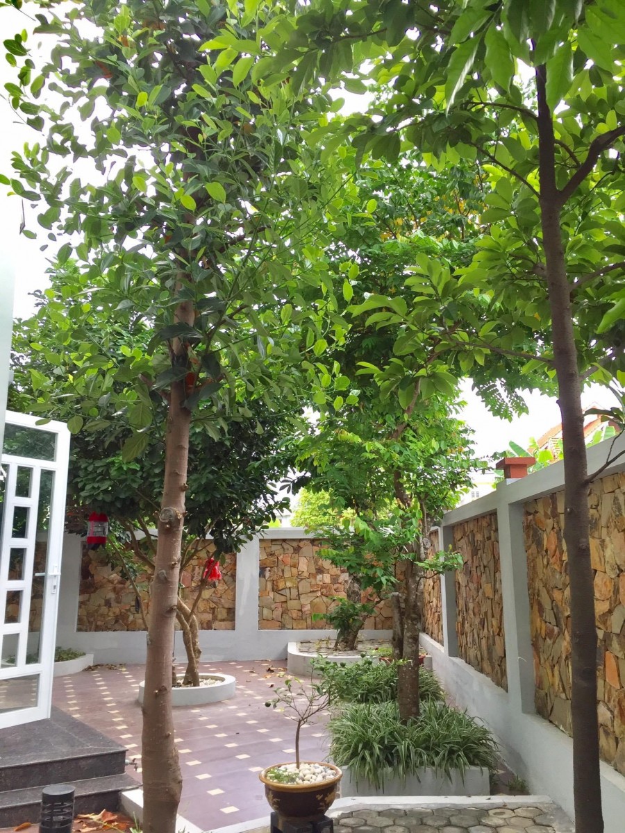 BÁN CĂN BIỆT THỰ XÂY 4 TẦNG LẦU KHU SAO ĐỎ, ANH DŨNG, DƯƠNG KINH, HẢI PHÒNG, DTMB 300M2 ĐƯỜNG NỘI BỘ 12M CÓ VỈA HÈ HAI BÊN