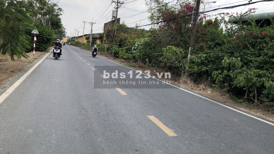 TUỔI GIÀ SỨC YẾU NÊN TÔI CẦN BÁN LÔ GỐC 2MT 2.315M(35.5x79M) ĐỐI DIỆN KCN, ĐƯỜNG NHỰA 25M