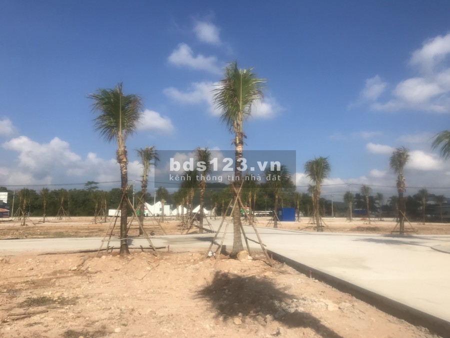 BĐS Phú Quốc, em bán đất mT 32m Tuyến Tránh, gần TT Dương Đông, dân cư đông, quy hoạch ONT