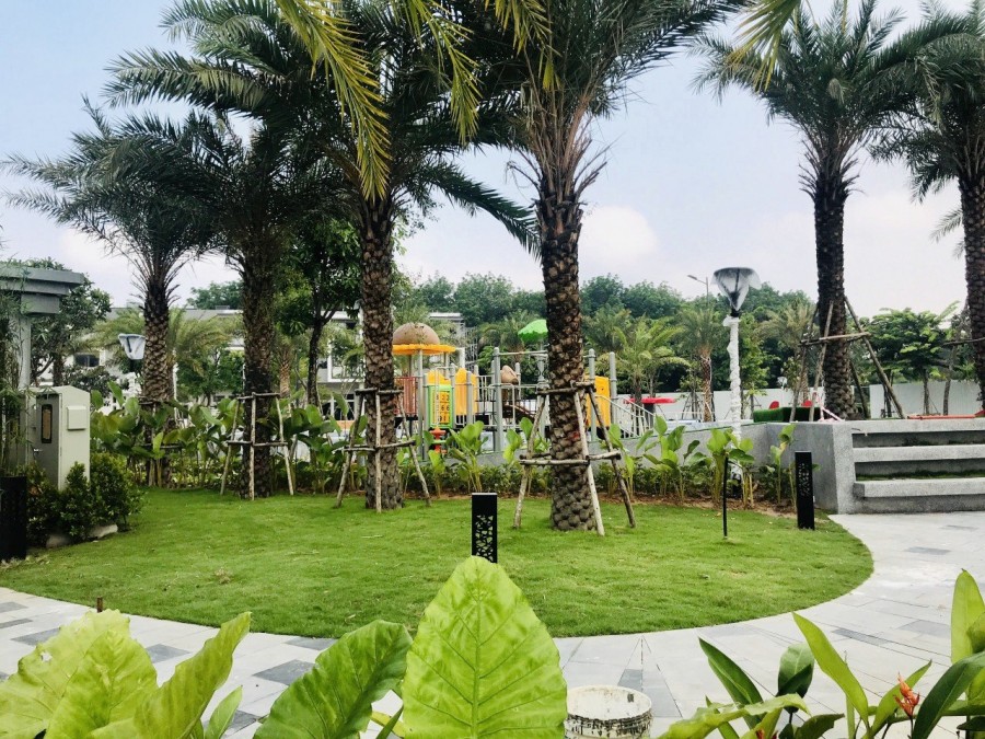 The Standard ‘chinh phục’ giới tinh hoa với không gian biệt lập phong cách resort