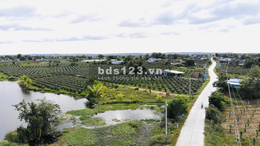 Đất nhà vườn farmstay 1000m2 ven TP, cách Lotte 11km, cách biển 15km, sổ đỏ sang tên LH 0946023235