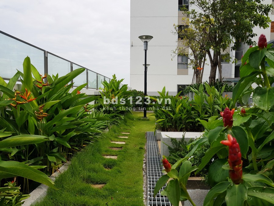 Căn hộ Hausneo cao cấp, 1+1PN, 2PN2WC 2view sát Q2 giá chỉ 6 triệu/th