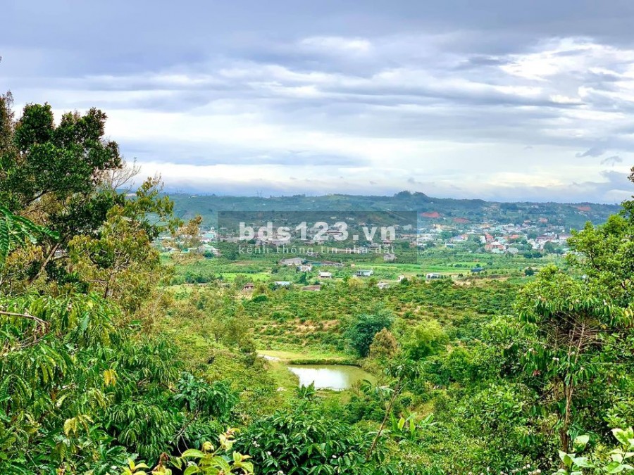 Chính chủ bán 1,8sao đất view suối trung tâm Bảo Lộc