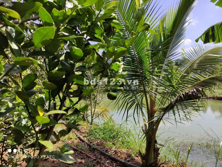 Chính chủ bán 1,8sao đất view suối trung tâm Bảo Lộc