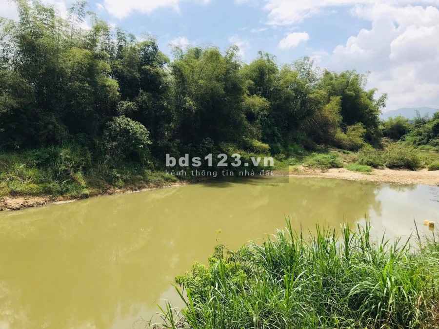Bán đất tặng vườn Dâu giáp Sông rộng 6.000m2 làm nhà vườn LH 0788.558.552
