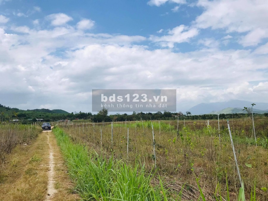 Bán đất tặng vườn Dâu giáp Sông rộng 6.000m2 làm nhà vườn LH 0788.558.552