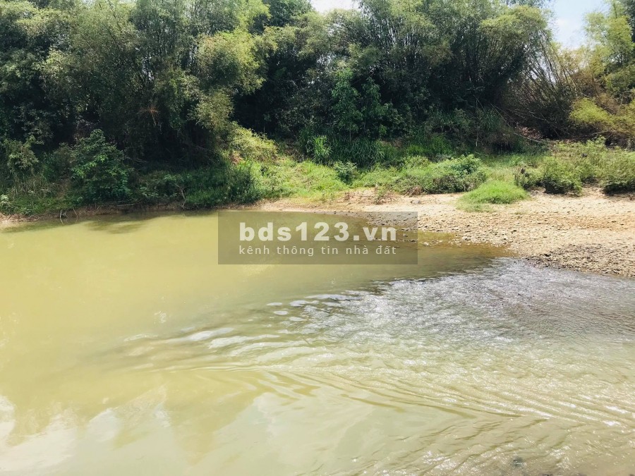 Bán đất tặng vườn Dâu giáp Sông rộng 6.000m2 làm nhà vườn LH 0788.558.552