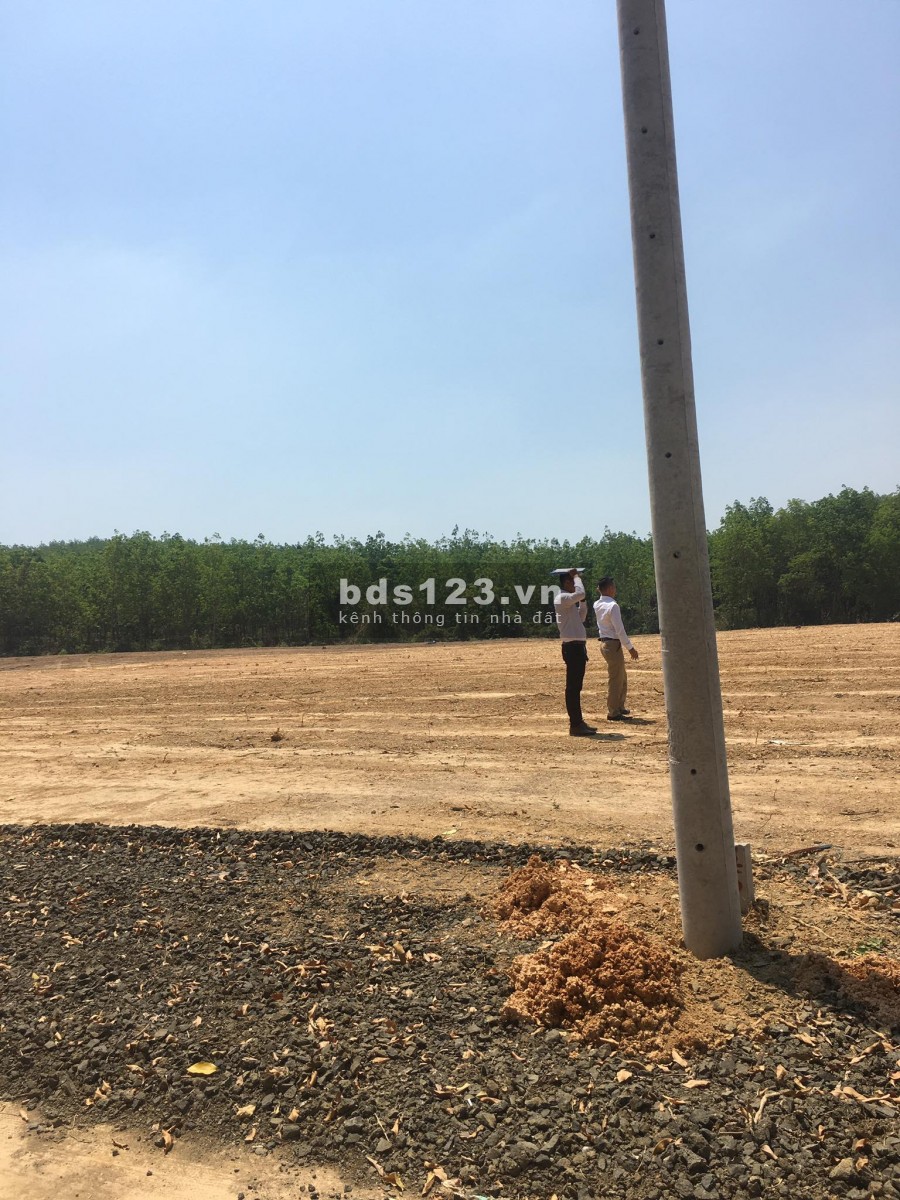 Bán gấp lô đất để đi nước ngoài