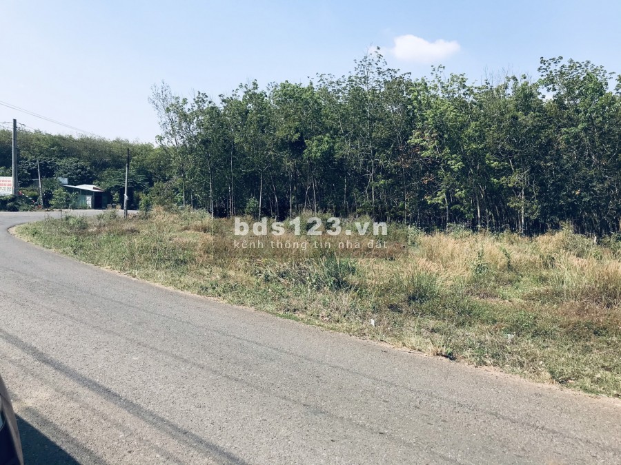 Bán lô đất 1311m2 ngay MT Phước Bình. Lh 0393 760 544