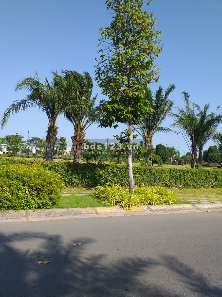 Đất Cần Giuộc giá bèo cho ai đầu tư , ở