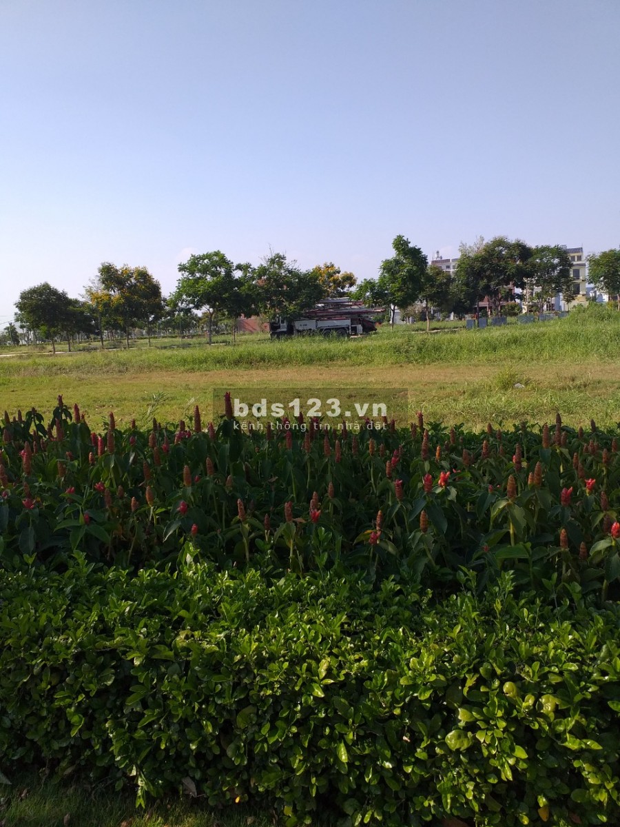 Đất Quận 8 giá bèo cho đầu tư , ở