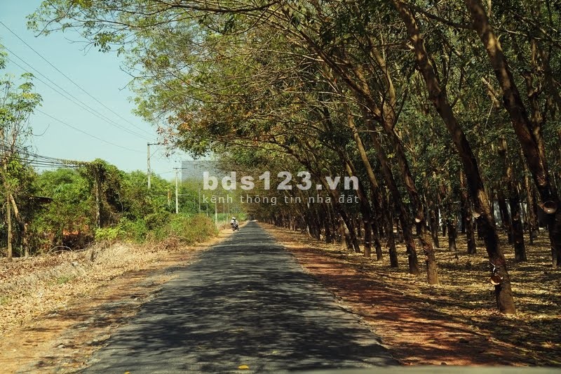 30m đất mặt tiền quy hoạch 20m , giá chỉ 5xx triệu