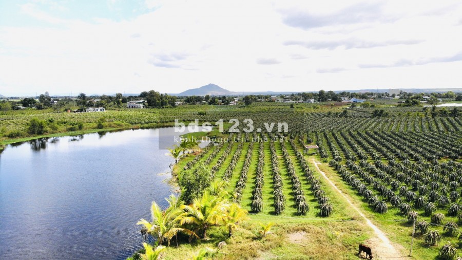 Đất sào 4000m2 CLN xã Hàm Chính, gần kênh sông Quao