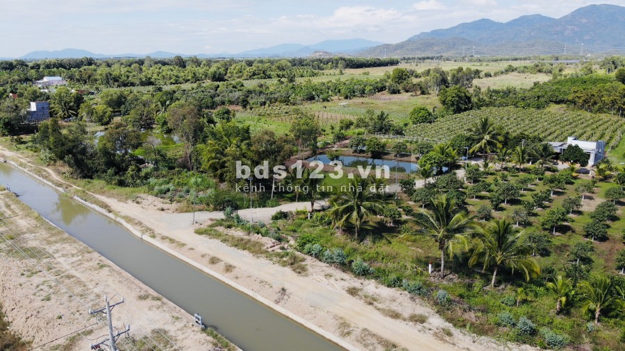 Đất sào 4000m2 CLN xã Hàm Chính, gần kênh sông Quao